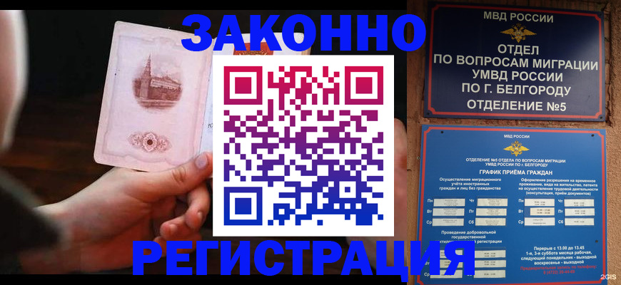 прописка 2025 в Протвино